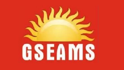 GSEAMS